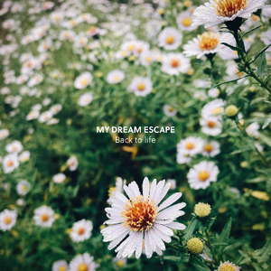 大美女🐻100%露出奶头视频
