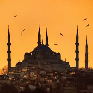 大美女🐻100%露出奶头视频
